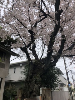 AF79BB18-C3A8-4887-A259-A09A5573776E