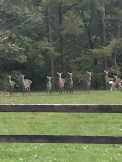 6A3725FC-4047-43B3-9777-E34120A33790