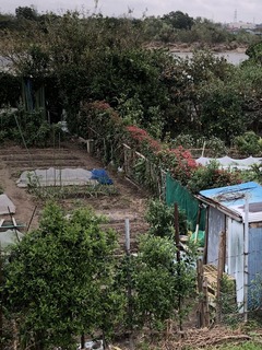 13F93866-1EE3-404C-81BC-2B1CF428D477