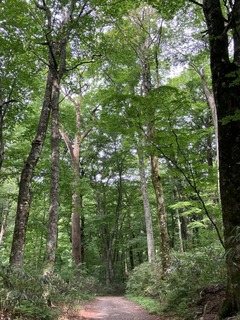 IMG_3510