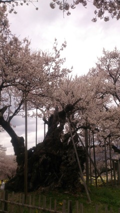 A51ECC17-0ACF-4D1A-BDF5-D82C66281EEA