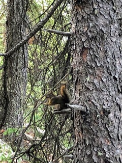 3A50F7C1-E254-4CBA-B5E3-B1B8A3971417