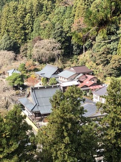 338D6774-5E1F-4A9D-8539-EE739AA804C8