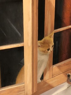 1AE2E0E5-2DFD-4A27-978A-C0C6F5EF4530