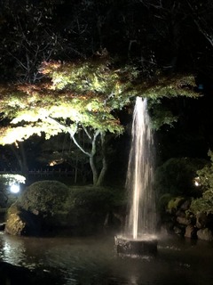 90F41C82-1107-4F42-920D-24A0A7911723