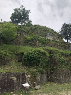 F1AA3DD2-B167-49B1-A8A0-0B32B759C6BA