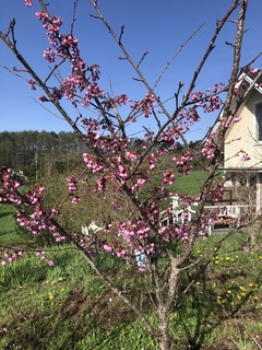 1570795F-A63F-456E-928C-394A7DCF8BFD