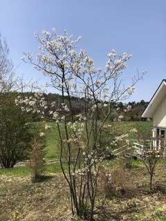 7E03FA66-4DF5-4812-90FF-9ADFCD1B59FA