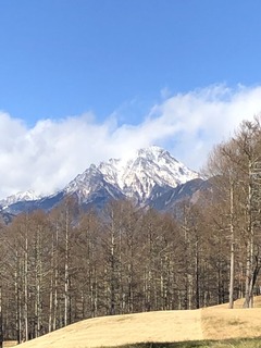 FA234FEB-512C-471F-B35B-85604EE434B1