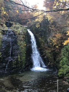 0C16832D-76AF-4A27-8DF5-6610D4C7C221