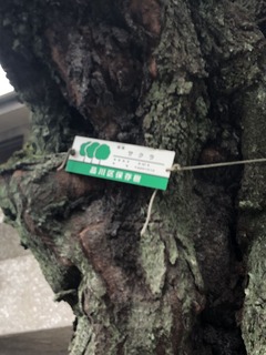 75A0429B-ABE6-483F-8C95-BF7307195837