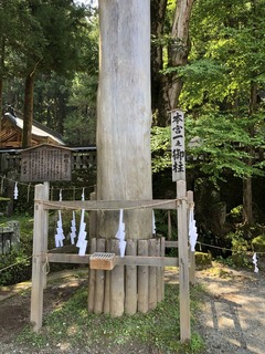 F57E8822-7B02-4DB8-89DA-E693E4EFA9B7