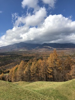 A251039E-CDA4-4C61-A58C-DD2216C35B3A