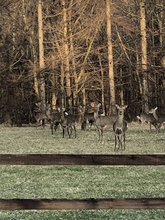 B39882FC-2AF1-4015-B953-971F0B7807C7