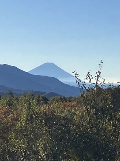 IMG_3243