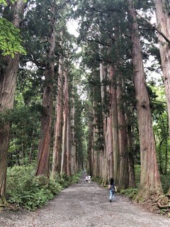 A1319EB0-0618-446B-A8A3-22432ACB5765