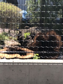 4DEC90AE-B64E-4846-BC61-C45101B7768B