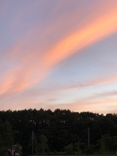 D9B6152E-1FC2-47D5-B292-4B84D00EA9C3