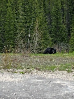 5C2E5F12-7AC9-4D8E-8A36-15FFD2F99073