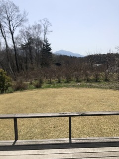 7EBD3569-51B9-41F2-8FB9-627B35034707