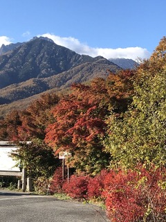 D2535945-6200-442B-A5BE-1C6AAEDC3D4E