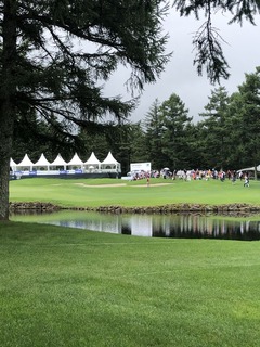 A70EF679-5D06-4520-82A3-4CA074CF74EA