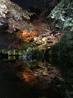 F06BFEA9-0B96-4269-9840-CEAB0647DA7A