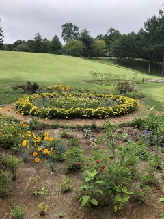 2627C5D3-1DAA-4C7B-B0EF-91250C7503C2