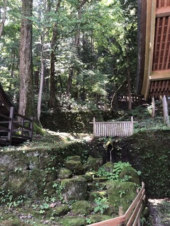 0D075E15-8AA8-4C87-B734-EF89AF38A40D