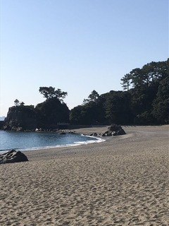 ED42E5F1-B6DC-40C7-9115-1040EF813B21