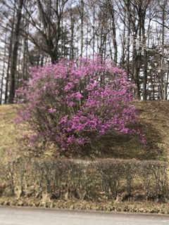 2750E769-B090-4D3E-9463-761EF5517969