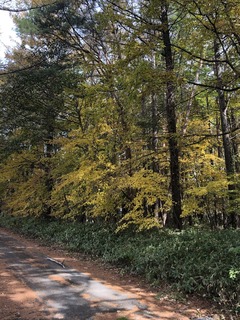 6FF7BC1E-2BDC-4B33-871D-822B8FEE094E