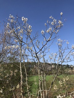 43DF5792-BBC8-4331-8897-AA8588409591