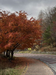 16F2CF6C-503F-488A-9FE6-1E1E80B82CD4