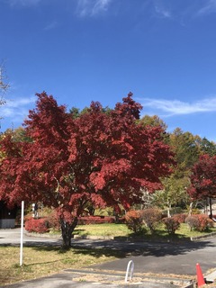 31DEBEEC-3E95-4511-BB8E-9639338C7C3A