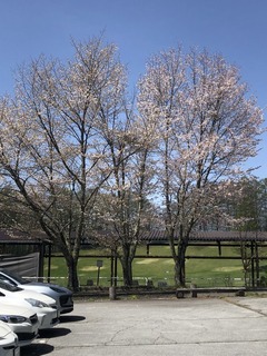 93CEDFF4-55B7-4F2D-B560-2077B4BC49D9