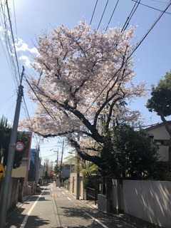 CD9EE508-A507-4362-B0BC-671F640BA9B3