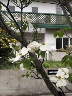 4B17FE7E-0A2A-4E41-ABD1-6A7AC932DBFC