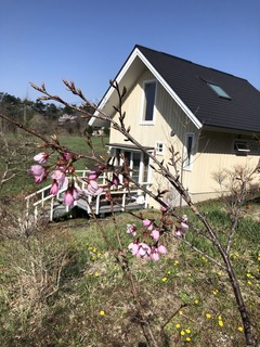 8A837CFD-A4FC-4D37-A3FF-A501FDF57BF5