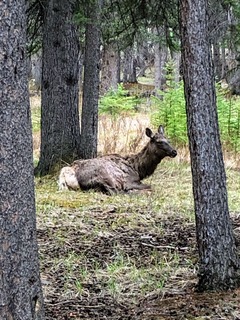 565D88E8-4AB1-479D-9A4A-A158DF1CDD81