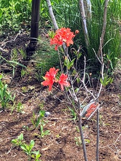 DEE44C14-E41B-417E-A64B-BA4C679261E3