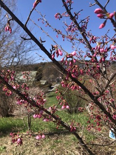 18D17C36-995F-4F23-8BA8-0E229A1E2BA2