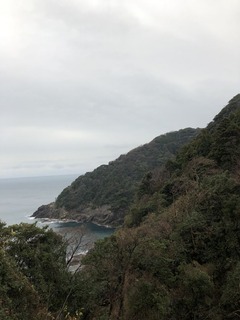 3A89EF26-EE93-4520-9A8E-5B590E6208FD