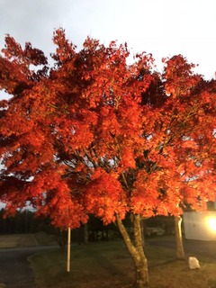 7579269F-4910-468D-8710-4CDE95D5FB98