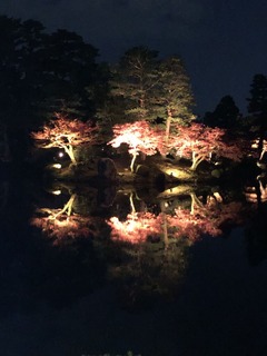 397239A3-2426-4AB4-914E-803B86D90DF1