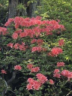 7D773E02-E29F-4A3B-85A7-43EBE8E48F88