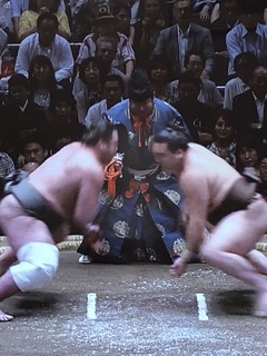 1E697856-A7F0-482F-B26C-BD6159C192EB