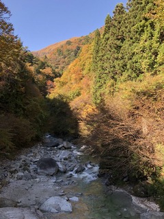 9173F0C5-F4DE-480F-93D5-61EA54561F60
