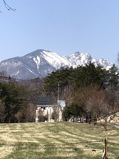 8CA5E183-2048-48AB-A5FD-45F83F5DE561