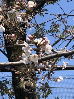 13136C3B-7DB6-492C-95F3-0727B0424776